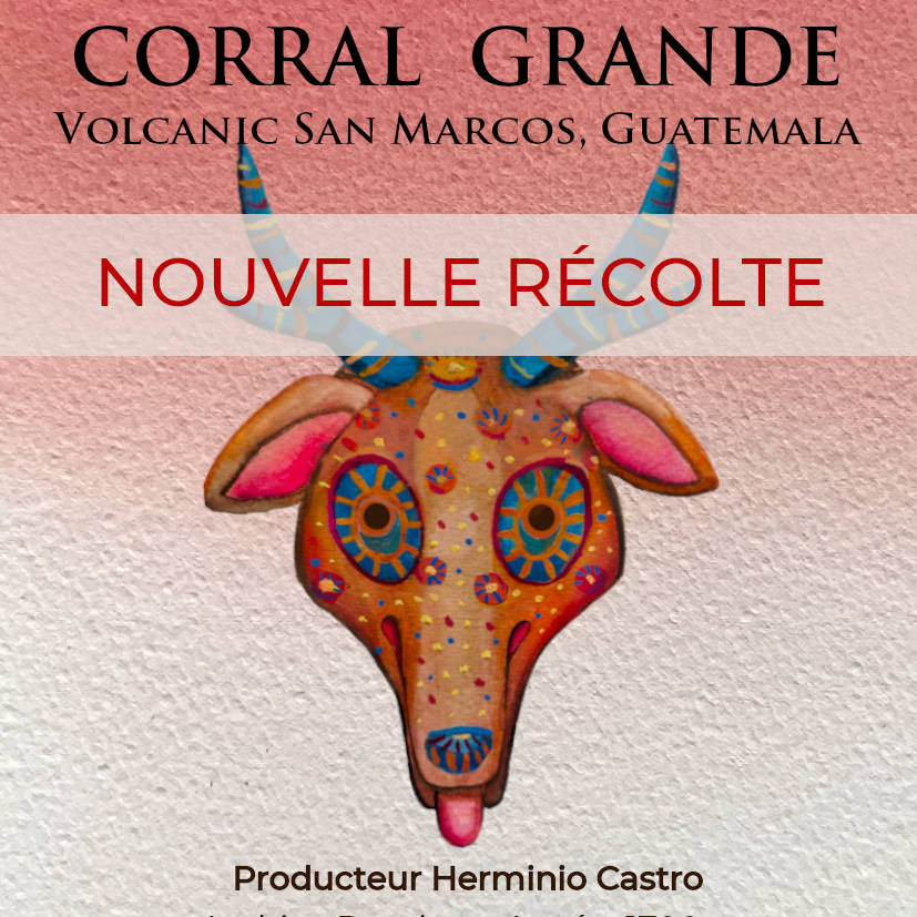 Café Corral Grande Guatemala