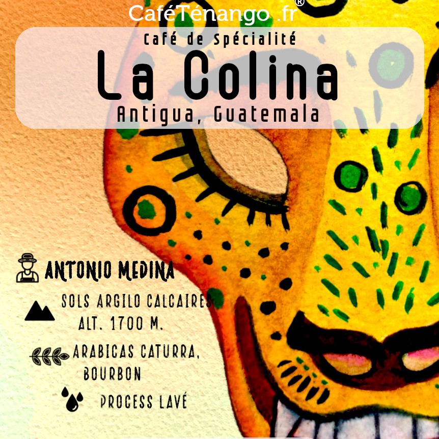 Café La Colina Guatemala