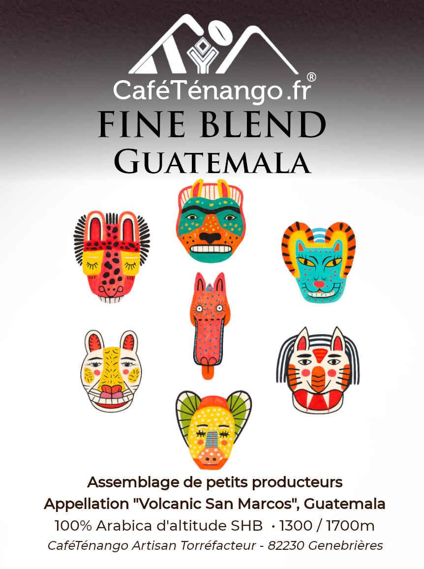 Fine Blend Guatemala