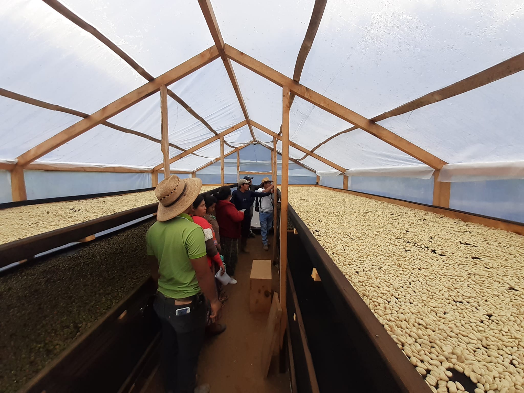 Café Coopérative Maya Ixil