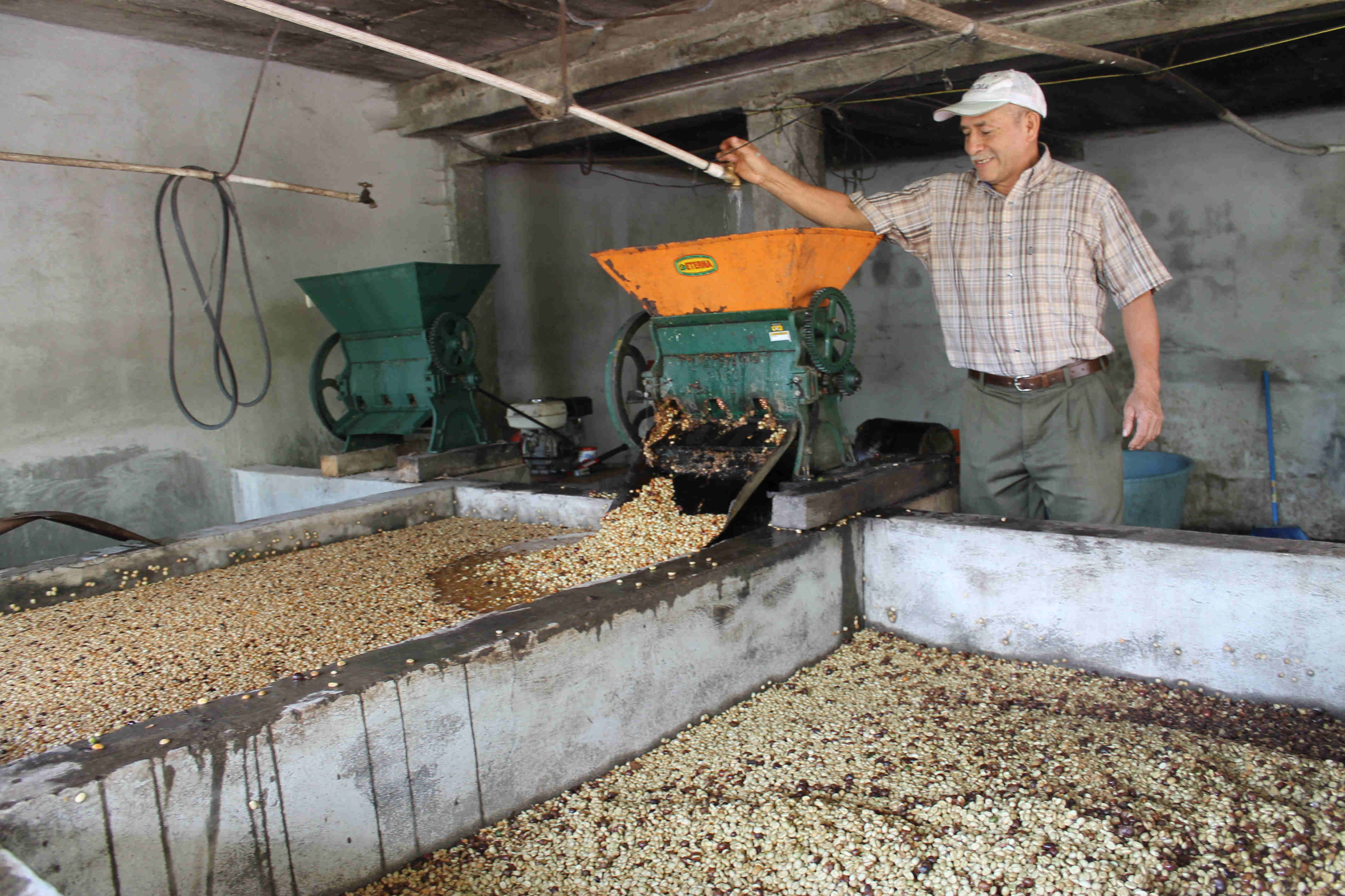 Café San Marcos- corralgrande