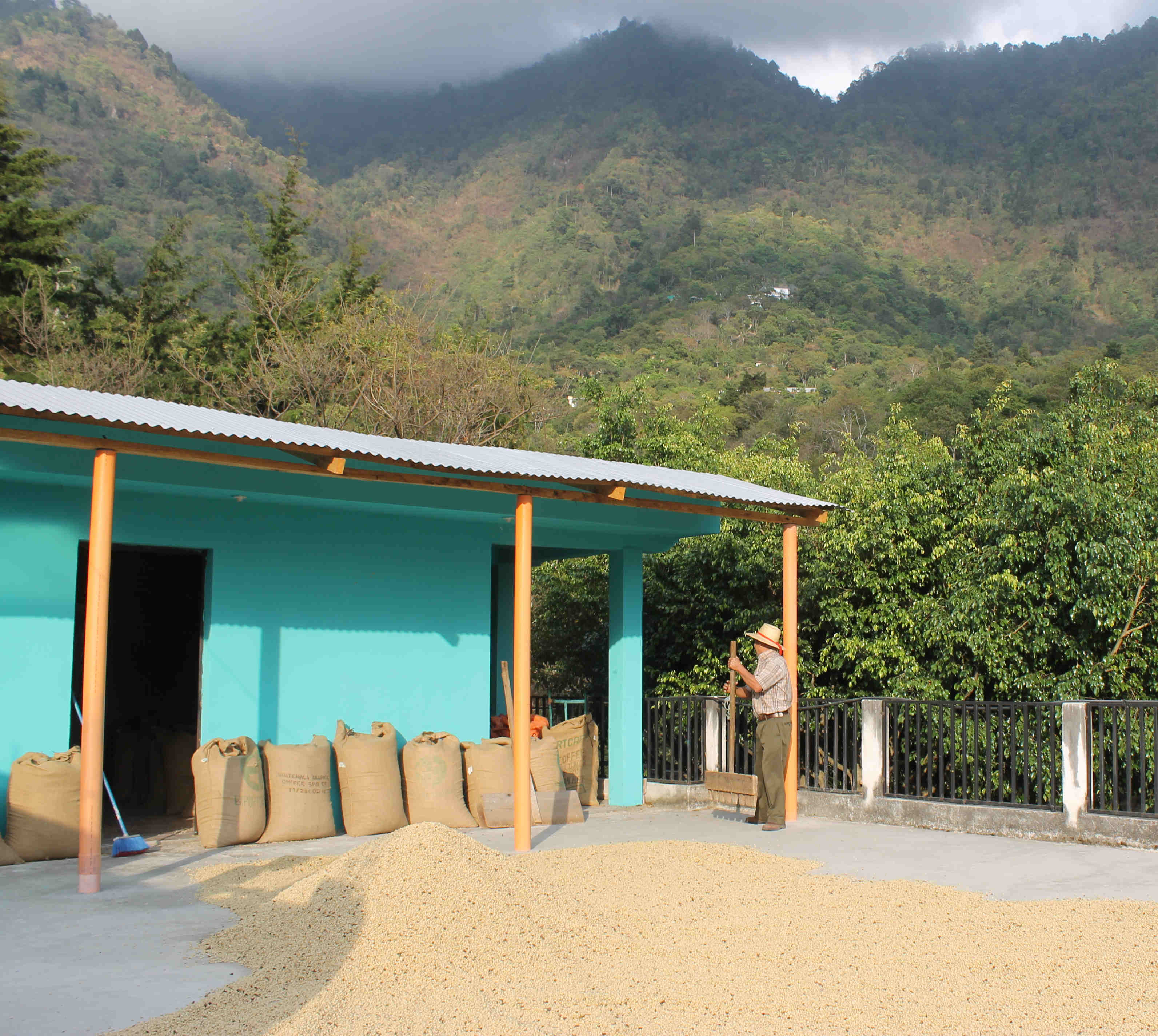 Café San Marcos- corralgrande