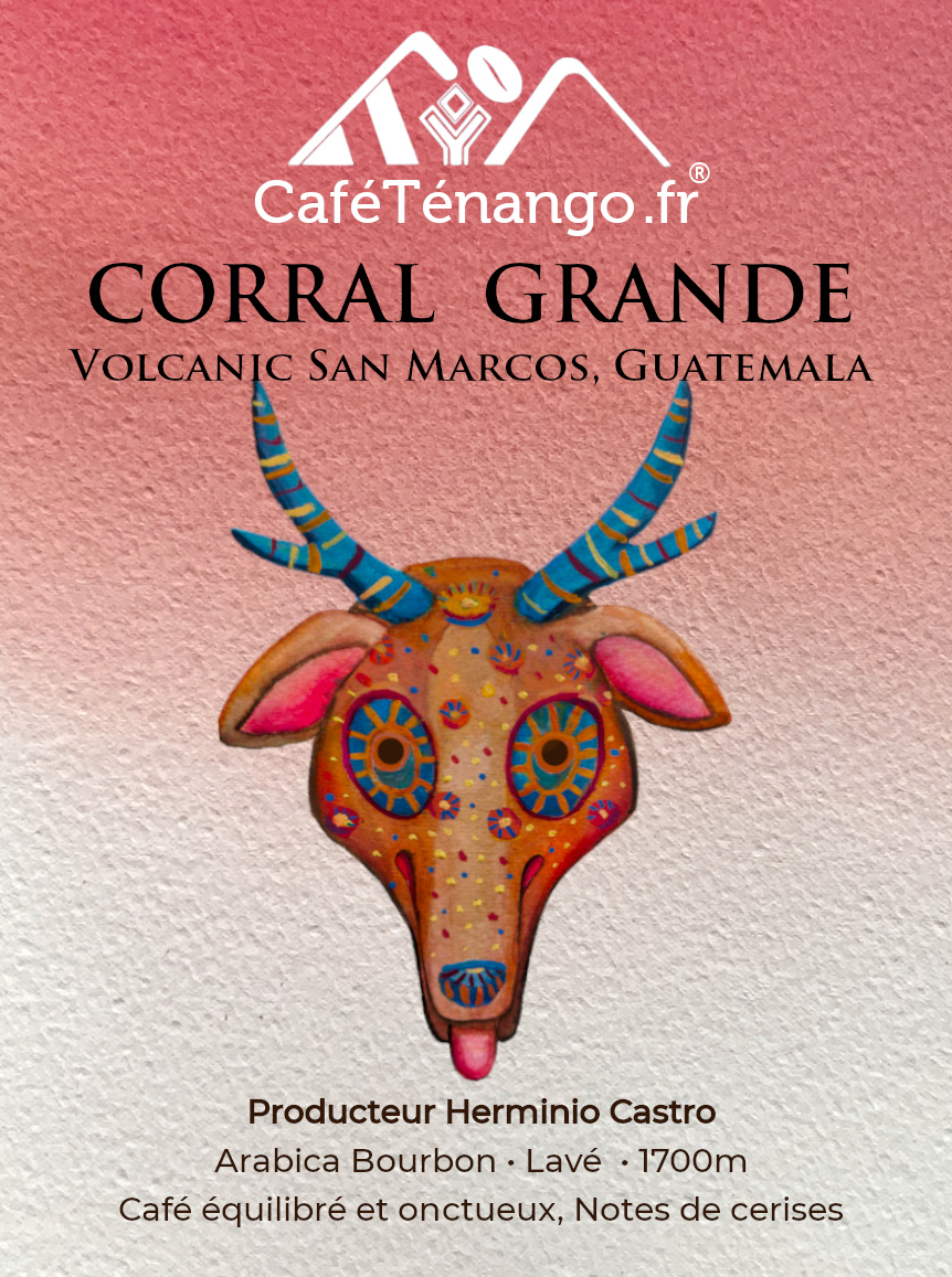 Café San Marcos- corralgrande